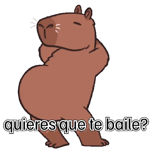 capibara cute 😎 21