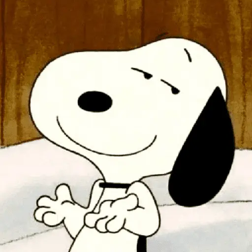 Memes do Snoopy 2