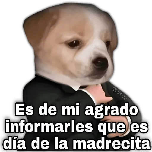 Día de la madre 2 🌺🪄👑 3
