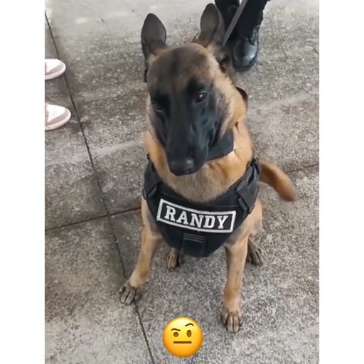mixed turkish memes 15