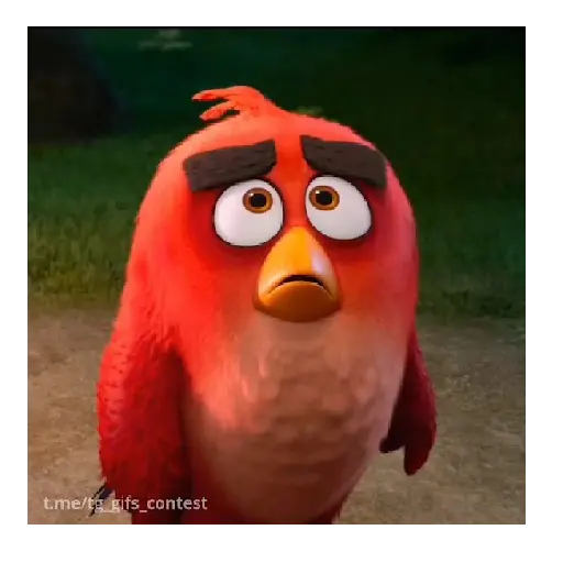 Meme Angry birds 💢😅 6