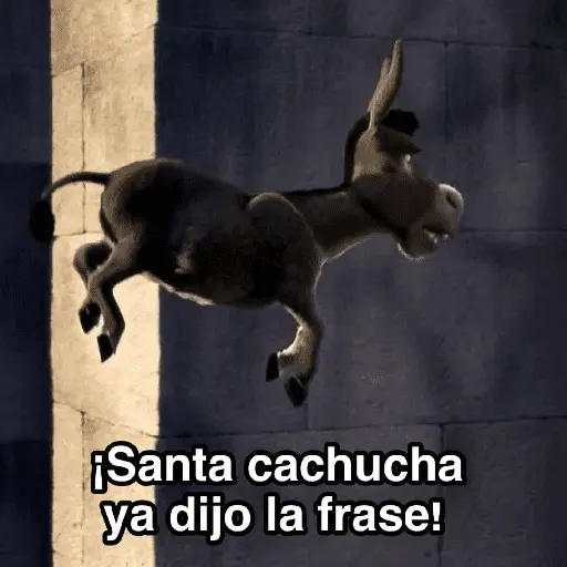 Sherk ✨ Memes clásicos 2 9