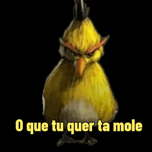 الطيور الغاضبة: اللهجة البرازيلية 16