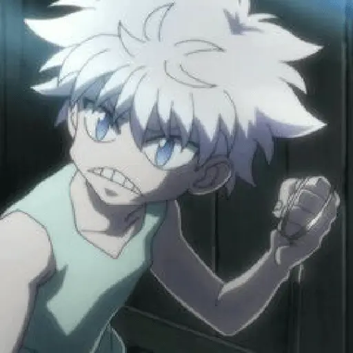 hunter x Hunter 22