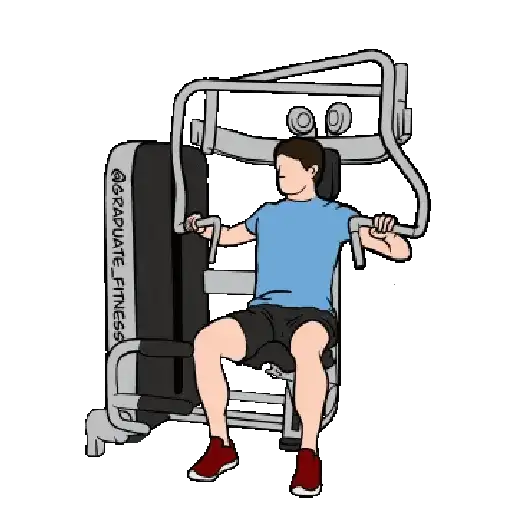 GYM TREINO ACADEMIA 7
