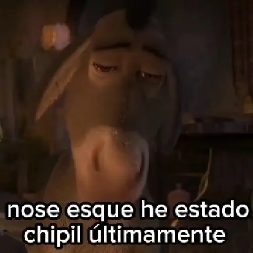 Burro 🫏 (Shrek) 21