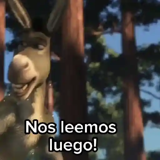 Burro 🫏 (Shrek) 20
