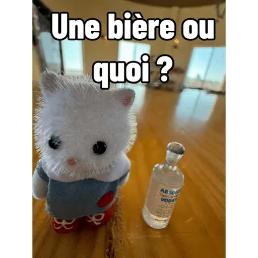 Ternurines en francés 7