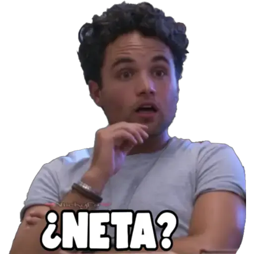 ¿NETA?