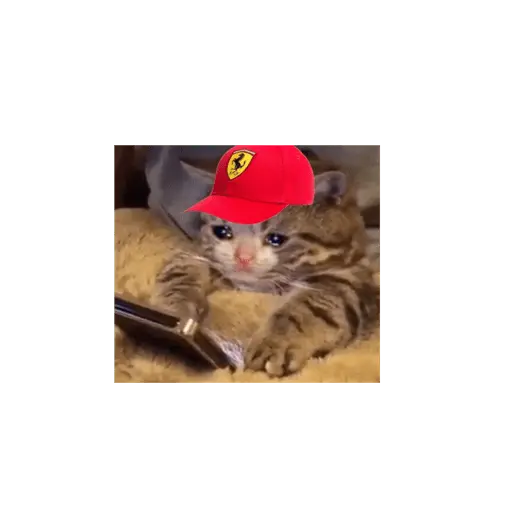formula 1 7