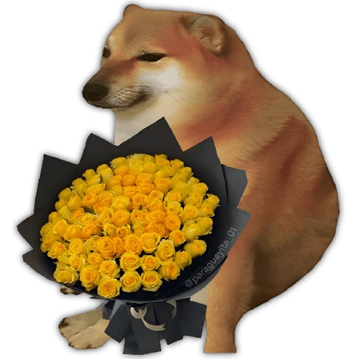 🌻💐 Жуто цвеће 3 💐🌻  22