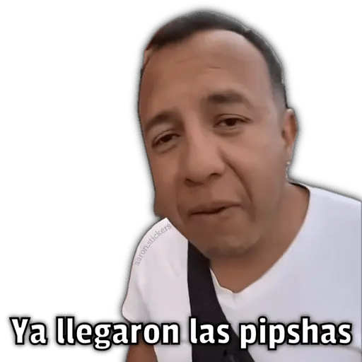 🍕•Ya Llegaron las Pipshash•🍕 12