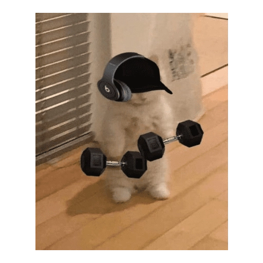 Gym 💪 4