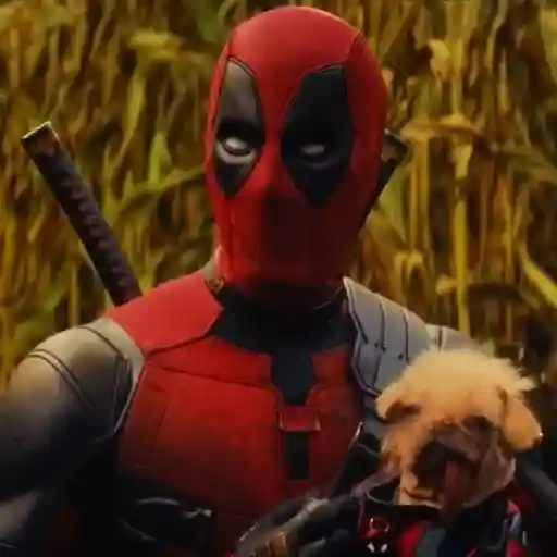 🐕Dogpool ⚔Deadpool⚔Wolverine 8