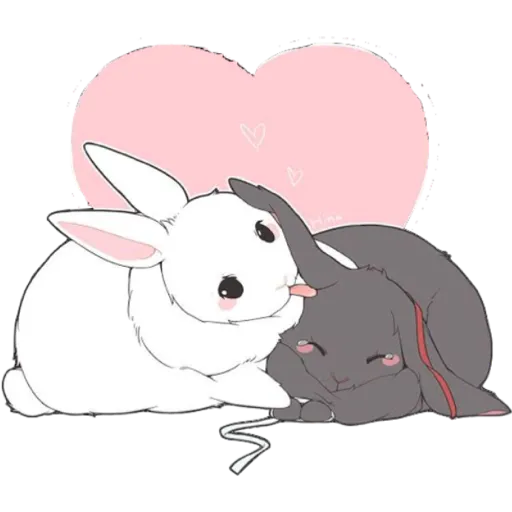 bunnies 💗 29