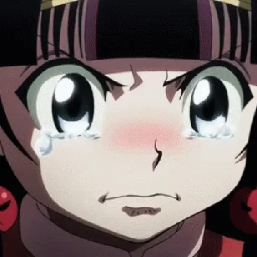 hunter x hunter 5