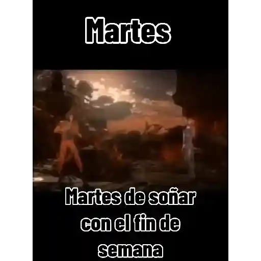 Martes de 14