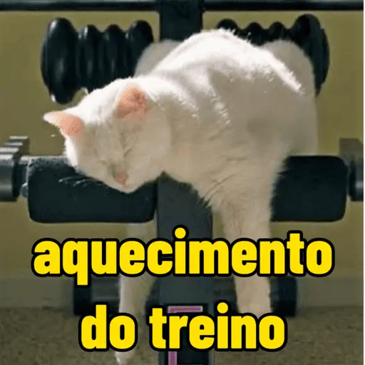 aquecimento do treino
