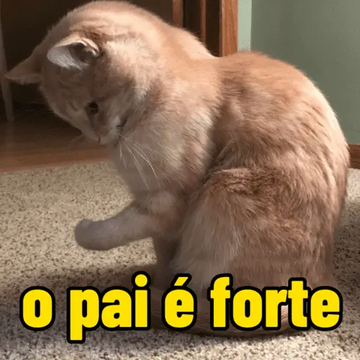 o pai é forte