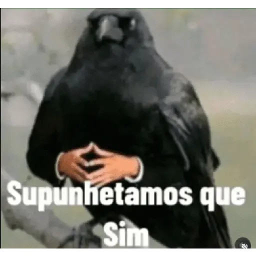 Meme. | @ocenferios Haki. 6