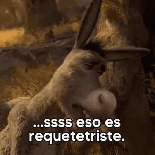 Sherk ✨ Memes clásicos 2 6