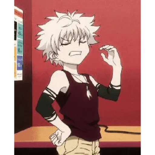 hunter x Hunter 19