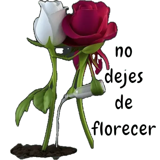 Coqueta: Mensajes Dulces 22