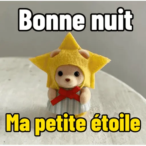 Ternurines en francés 15