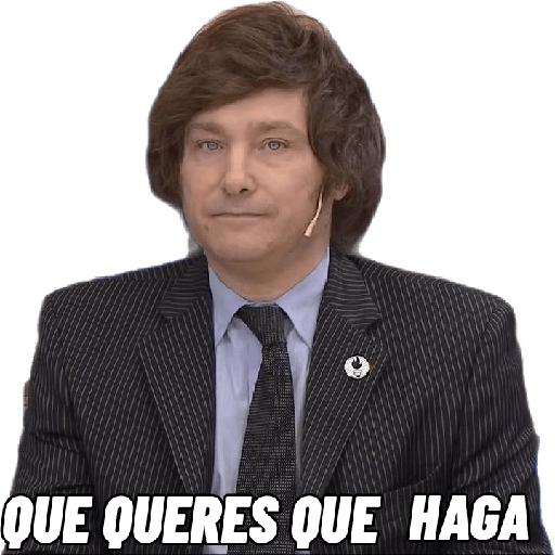 P QUE QUERES QUE HAGA