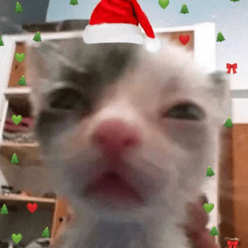 Feliz Navidad 9