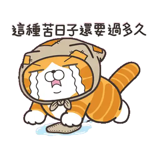 白爛貓23☆一起動☆ 5