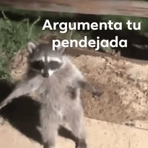 Memes pal chat🤎 3