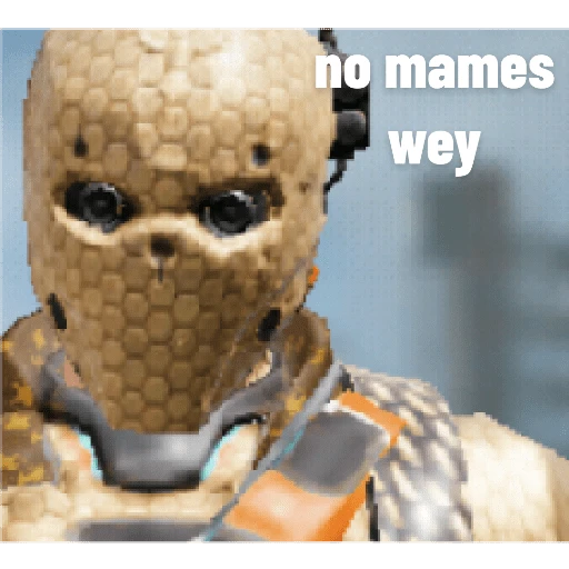 call Of Duty Mobile memes 15