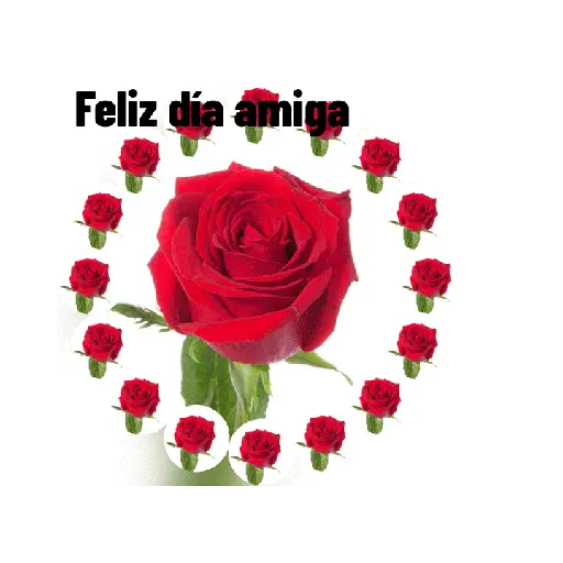 ♀️👠 Día de la Mujer 👠♀️ 16