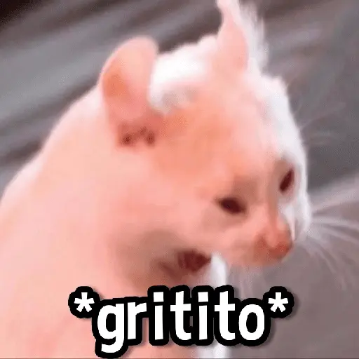 Gatitos pa tu Wsp😼🫰🏻 3