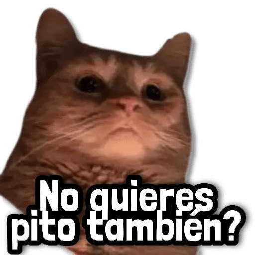 Stickers sin Filtro #2 💭 5