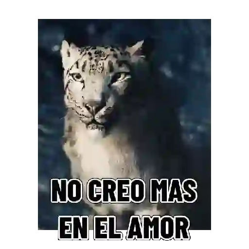 En modo de defensa estoy 🛡️ 13