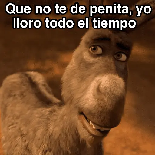 Sherk ✨ Memes clásicos 2 13