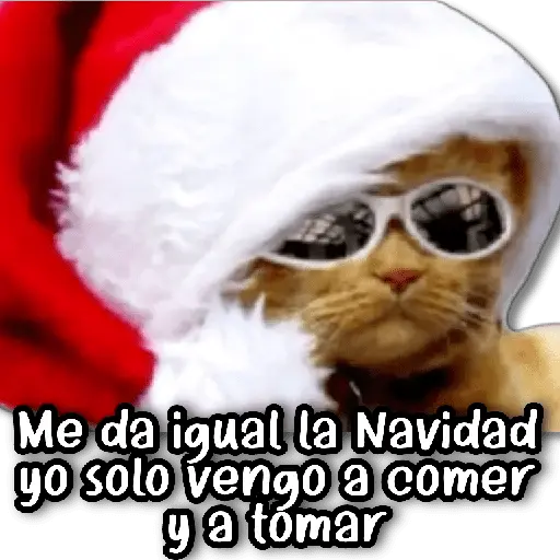 Memes Navideños #2 🎄 8