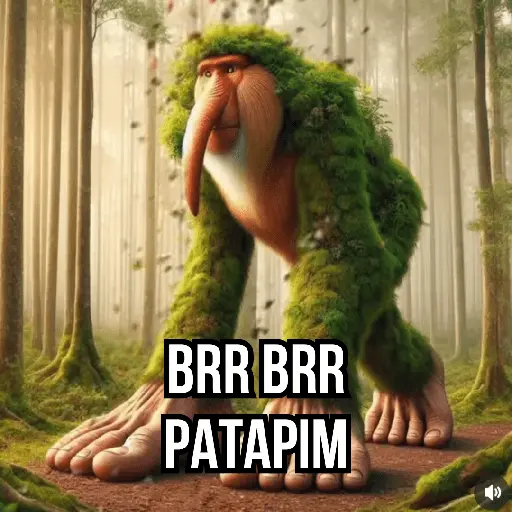 Meme Tiktok Brainrot 13