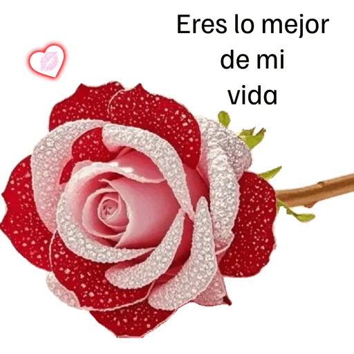 Coqueta: Mensajes Dulces 15