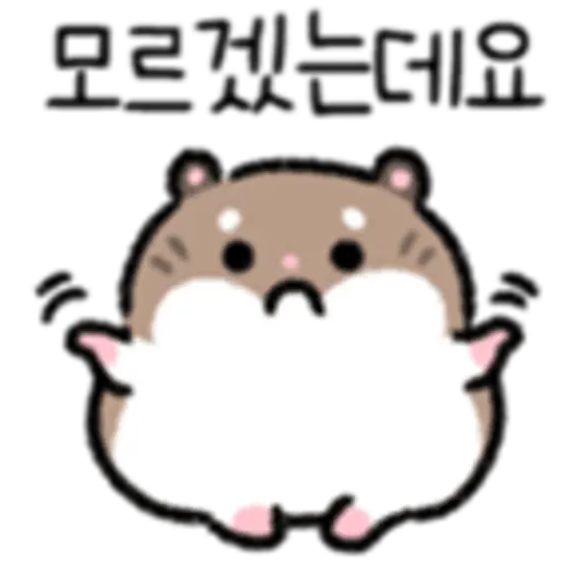 모르겠는데요