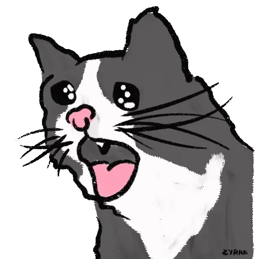 Chipi Chipi Chapa Chapa