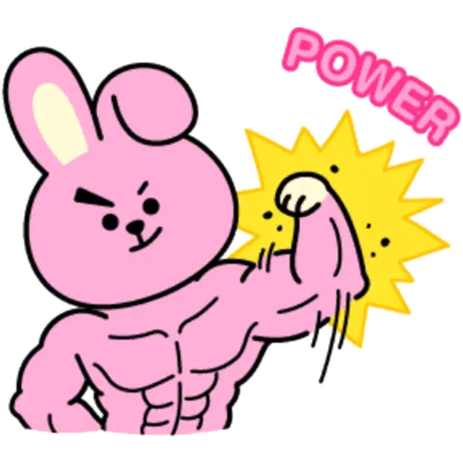 BT21 13