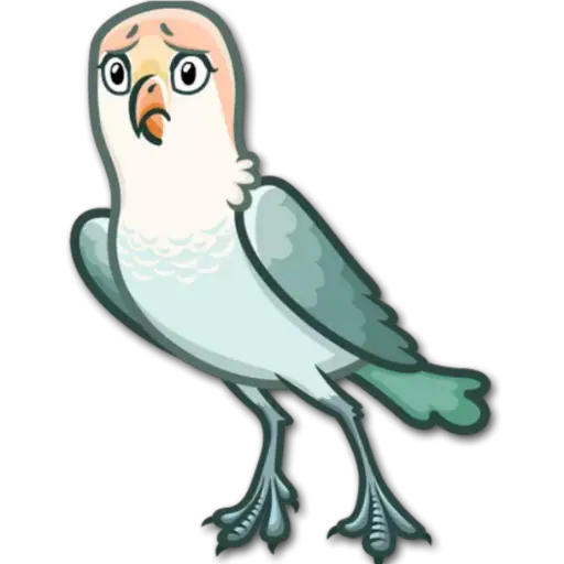 🐦Pajaros Lindos🐦  17