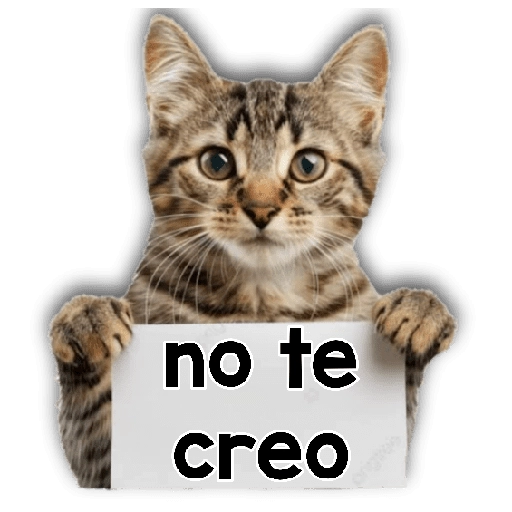 Michi mensajes gatito 🐱📩 15