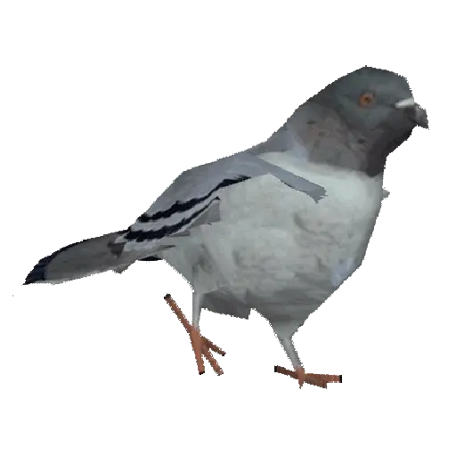 🕊🪺 Paloma MIGAJERA 🪺🕊 9