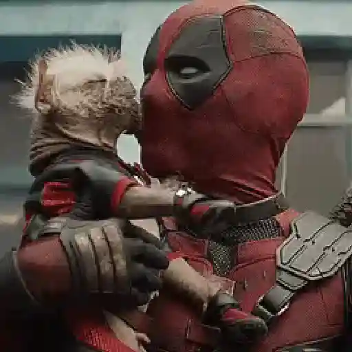 Deadpool × Wolverine 16