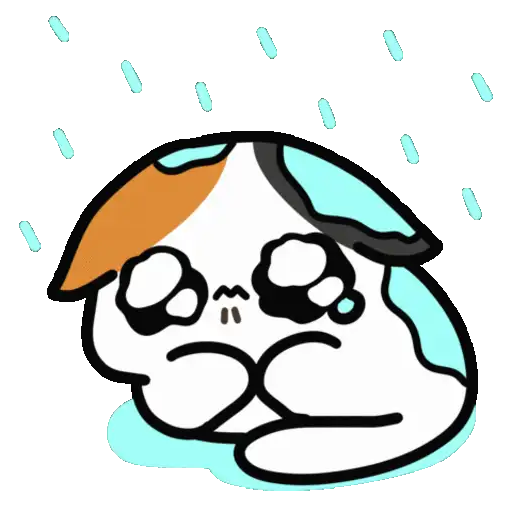 Lluvia☔️🌧️ 18