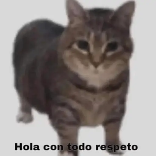 Michis Para Contestar 🐈⬛ 5